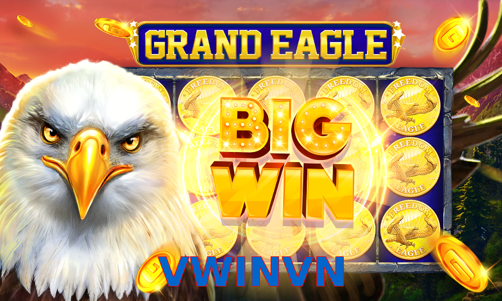 VWINVN