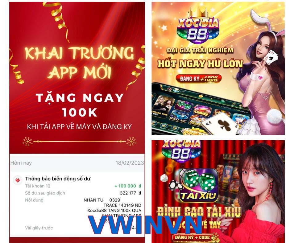VWINVN